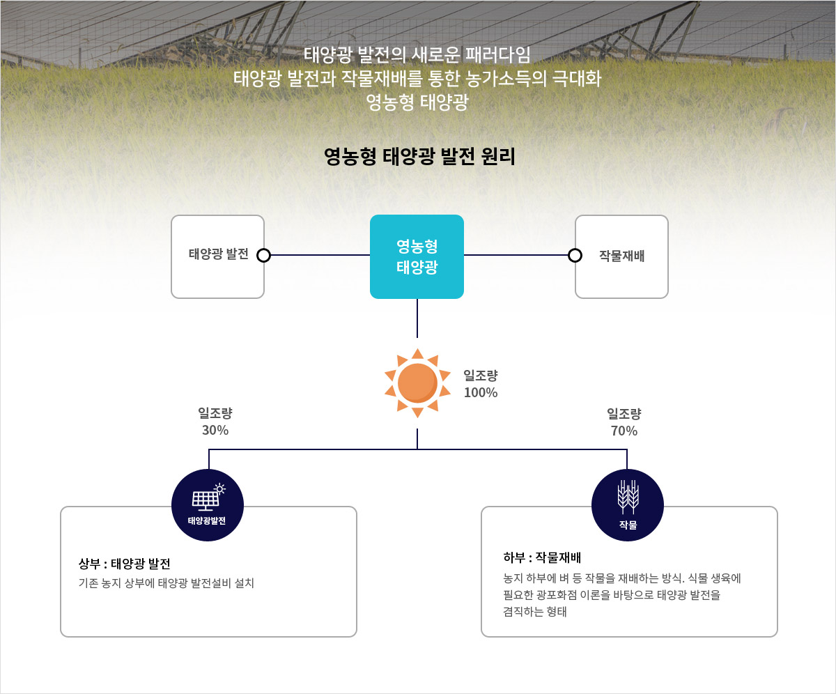 영농형 태양광 발전 원리